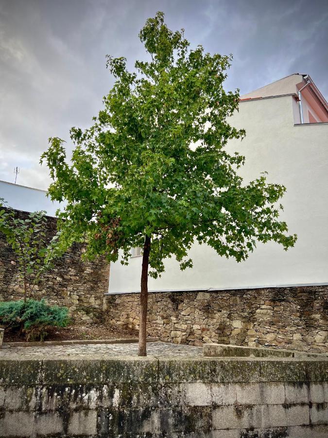 Cantinho Do Castelo Apartment